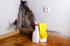 Best Attic Mold Removal  in Keego Harbor, MI